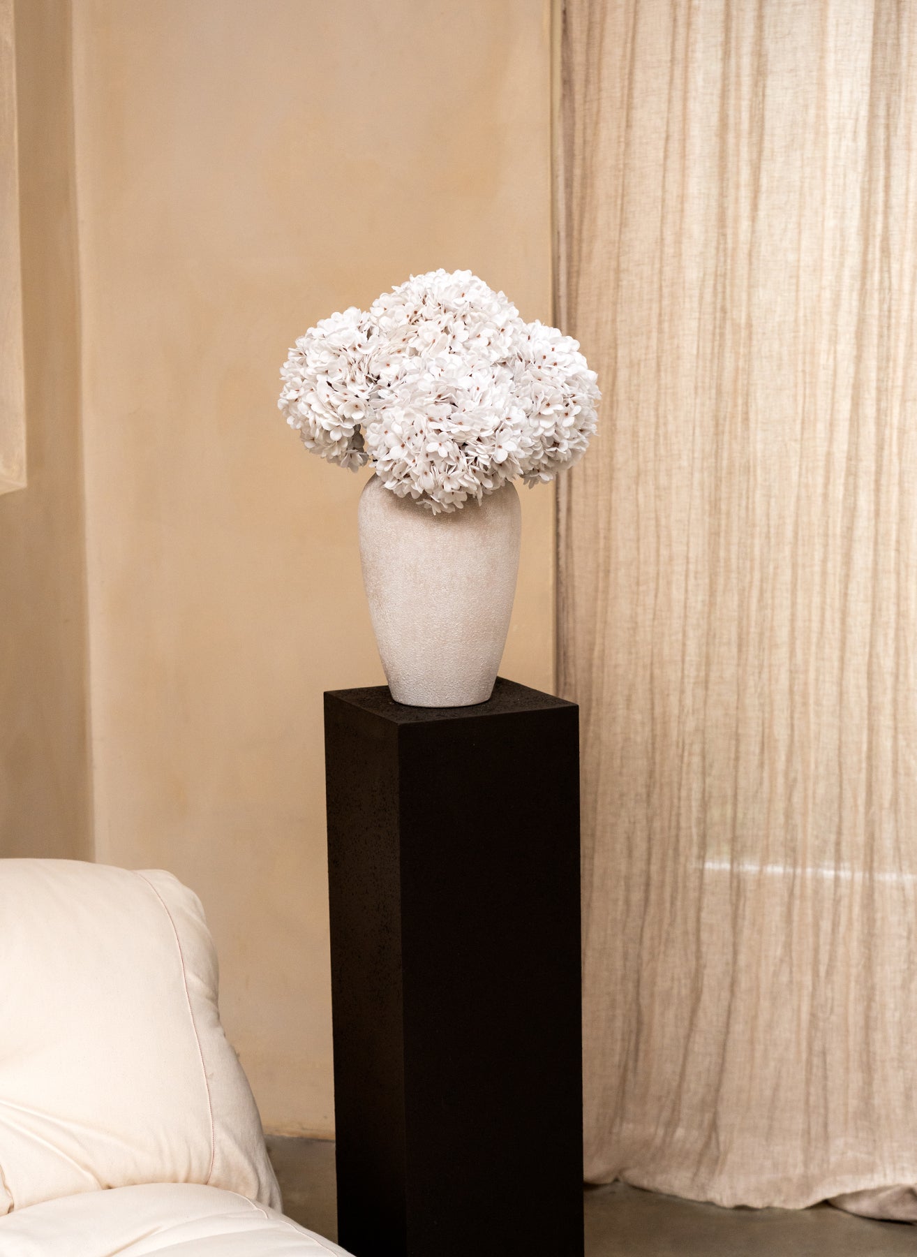 Große Seidenhortensie - Weiß