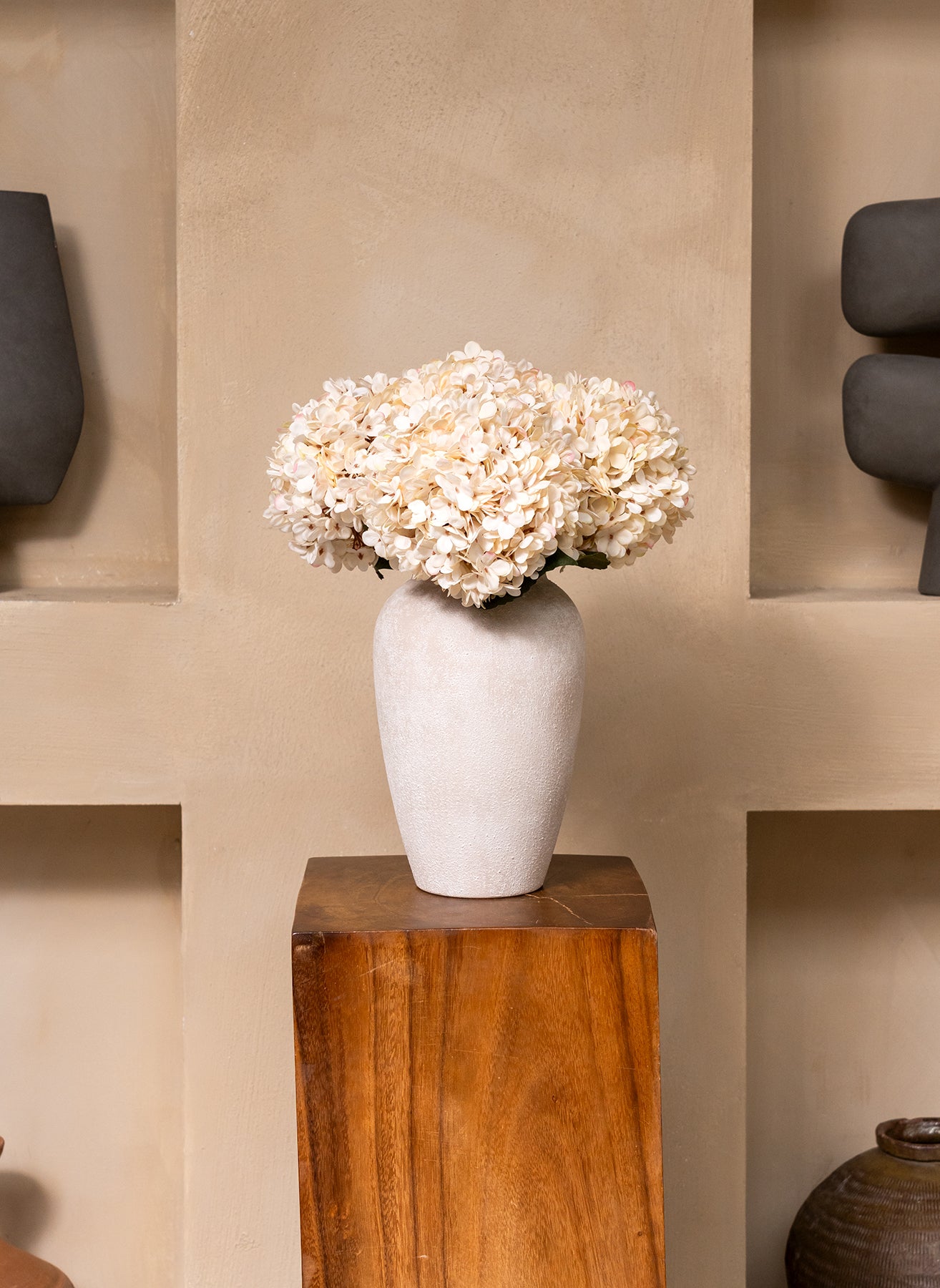 Große Seidenhortensie - Creme