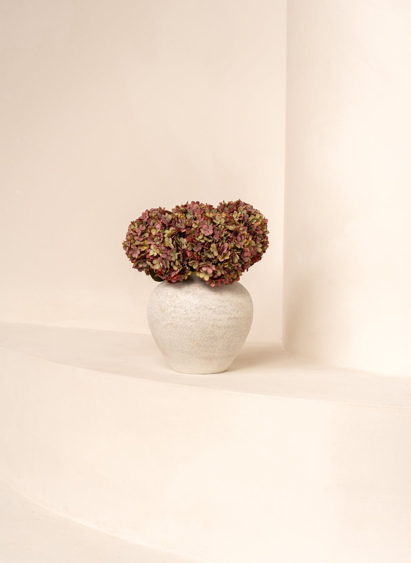 Große Seidenhortensie - Lila