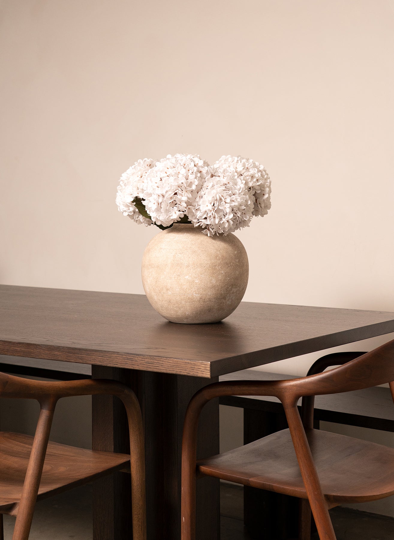 Große Seidenhortensie - Weiß