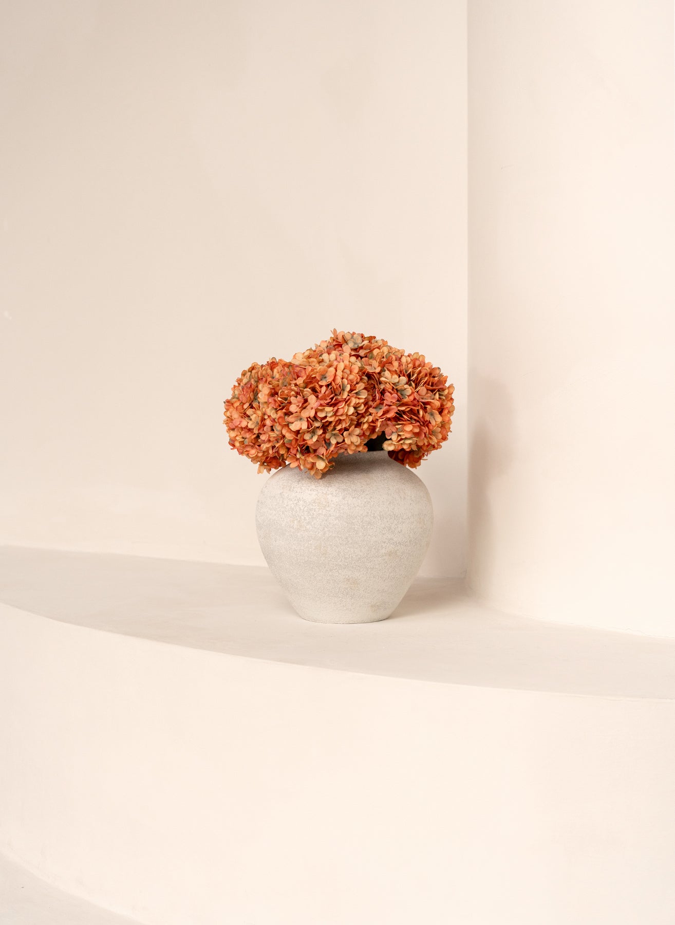 Große Seidenhortensie - Orange