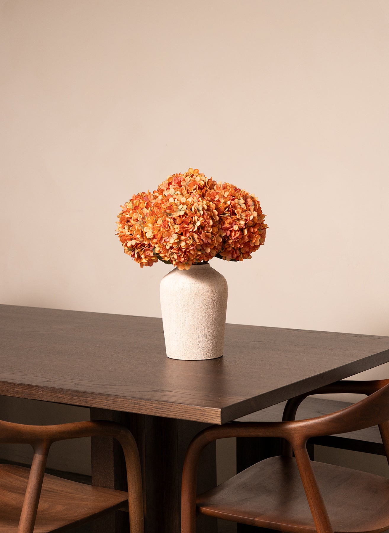 Große Seidenhortensie - Orange