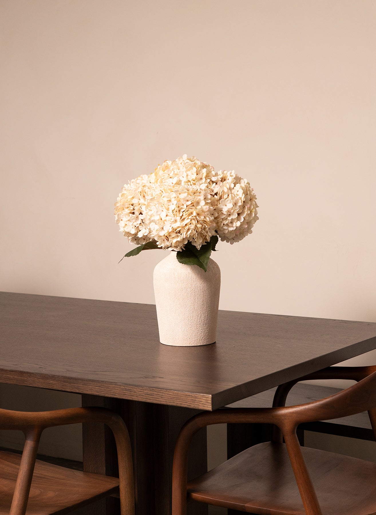 Große Seidenhortensie - Creme