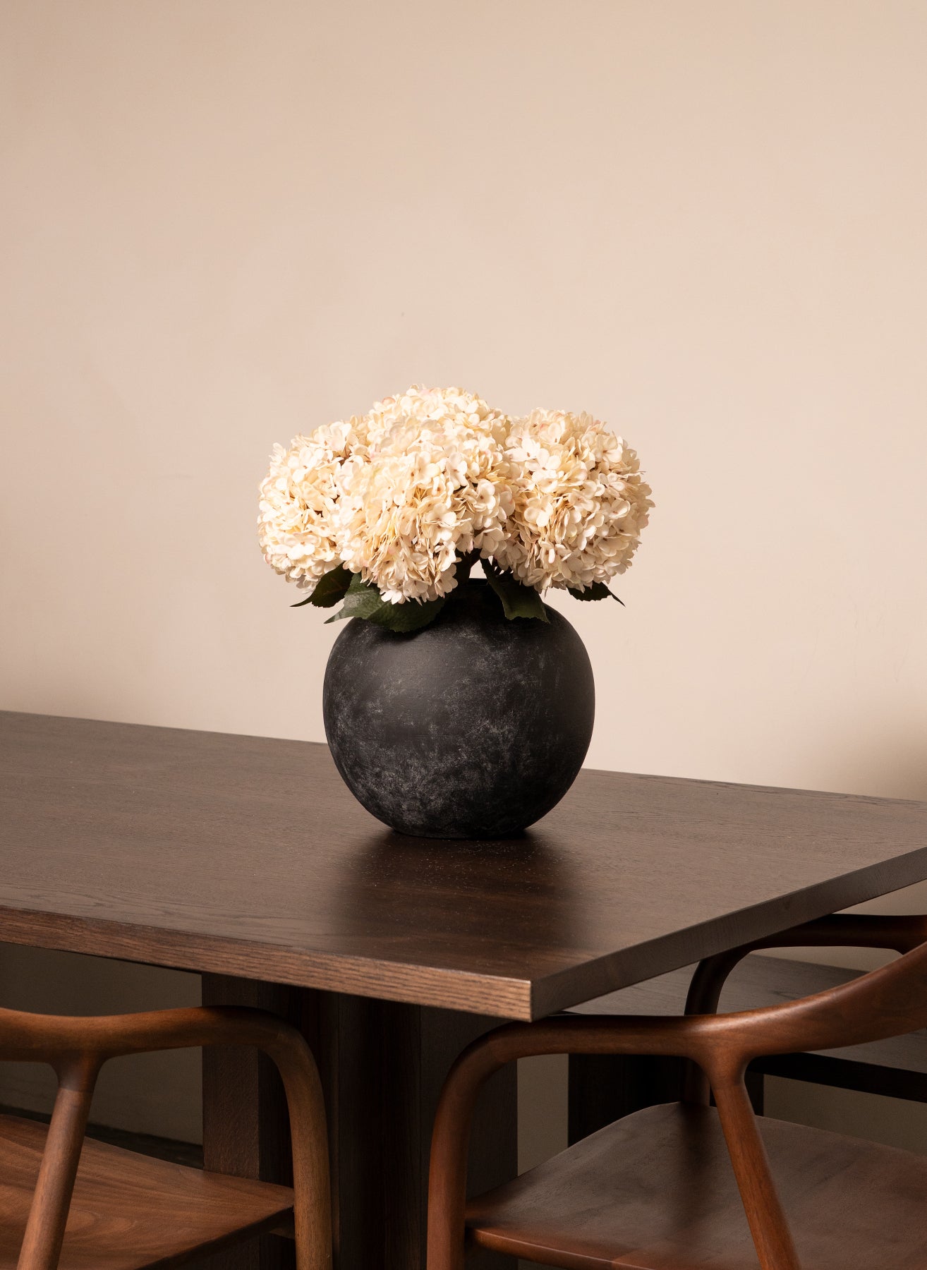 Große Seidenhortensie - Creme