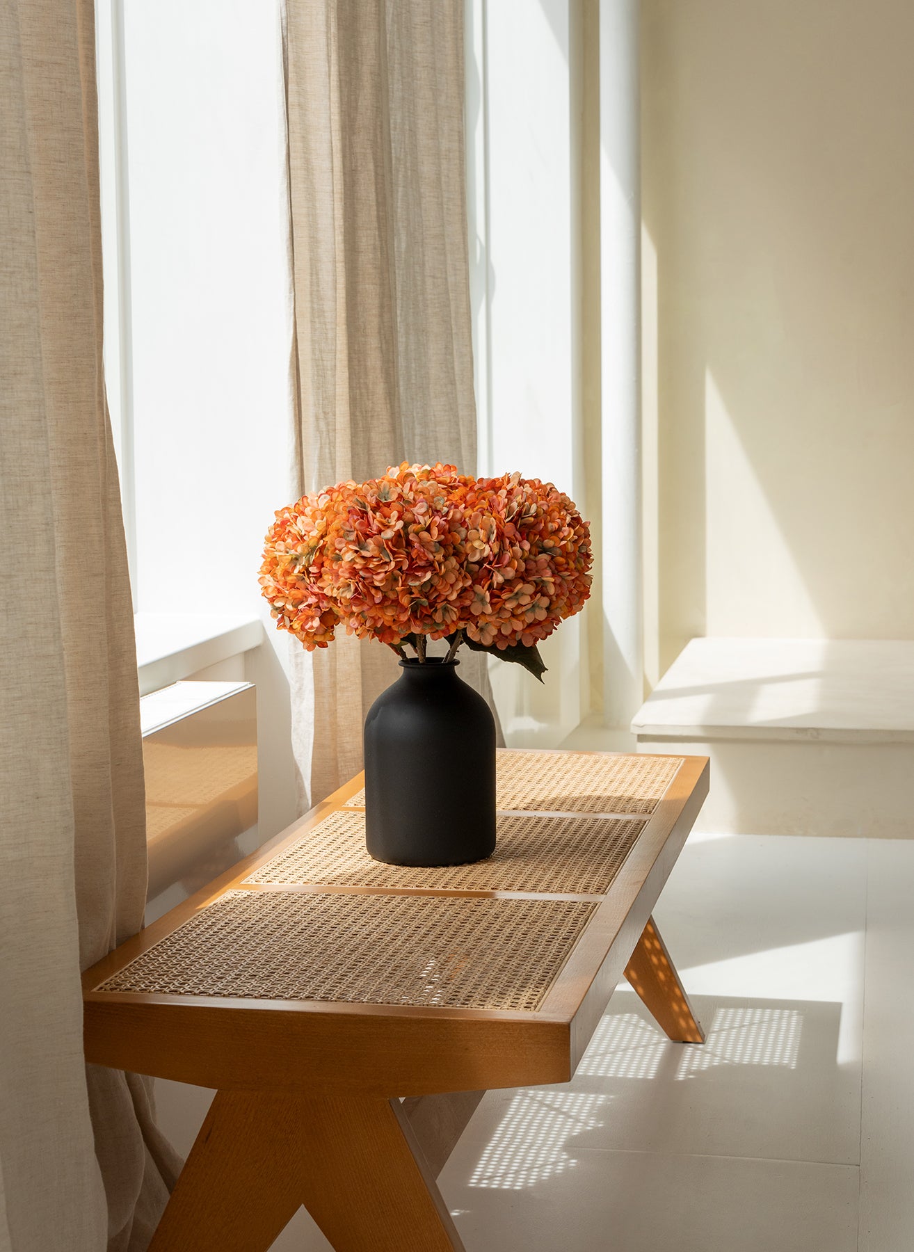 Große Seidenhortensie - Orange