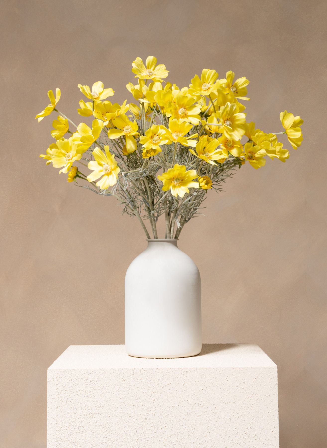 Seiden-Margeriten (10 Stiele) - Gelb