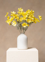 Seidenmargeriten (10 Stiele) - Gelb