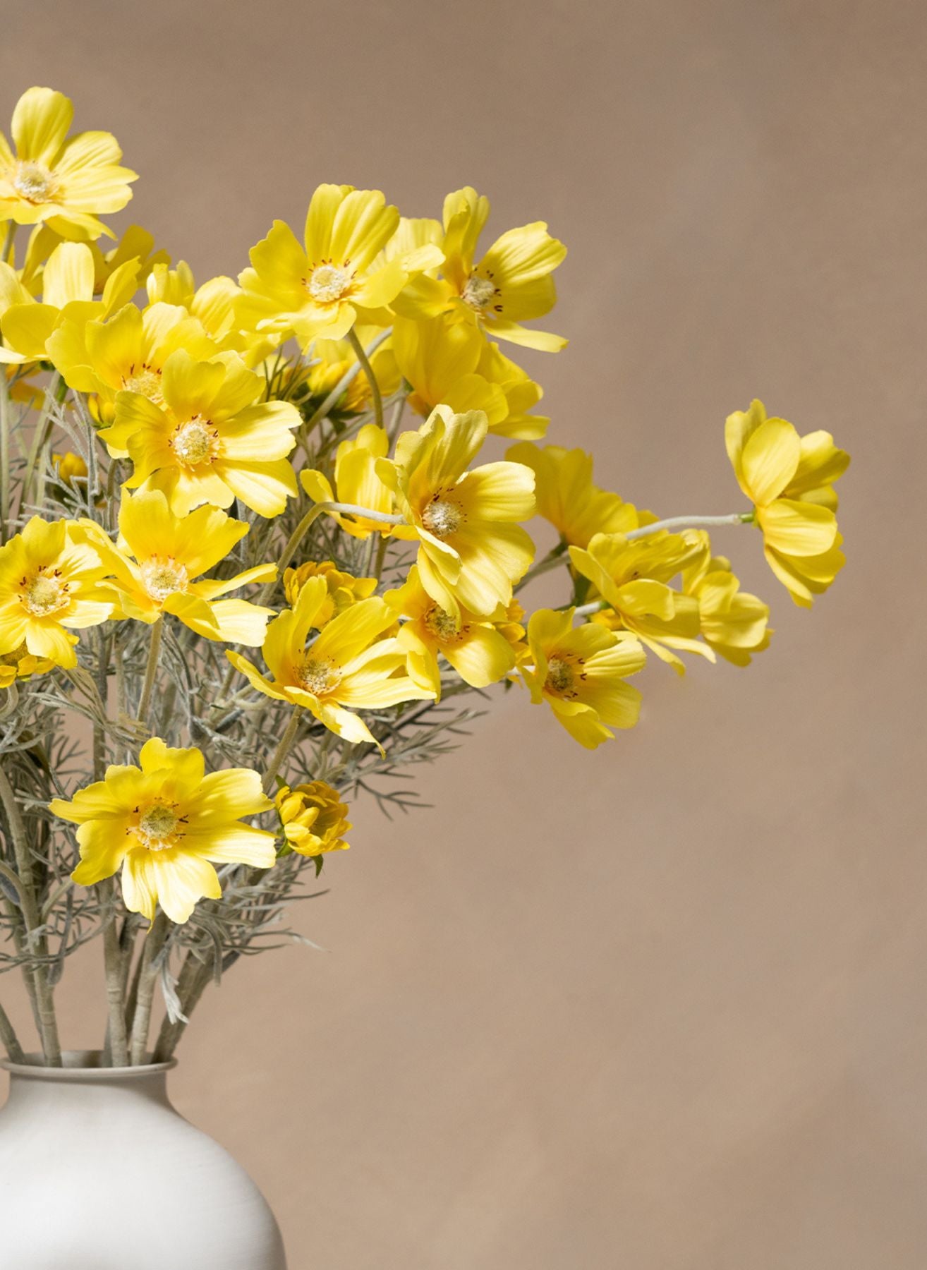 Seiden-Margeriten (10 Stiele) - Gelb