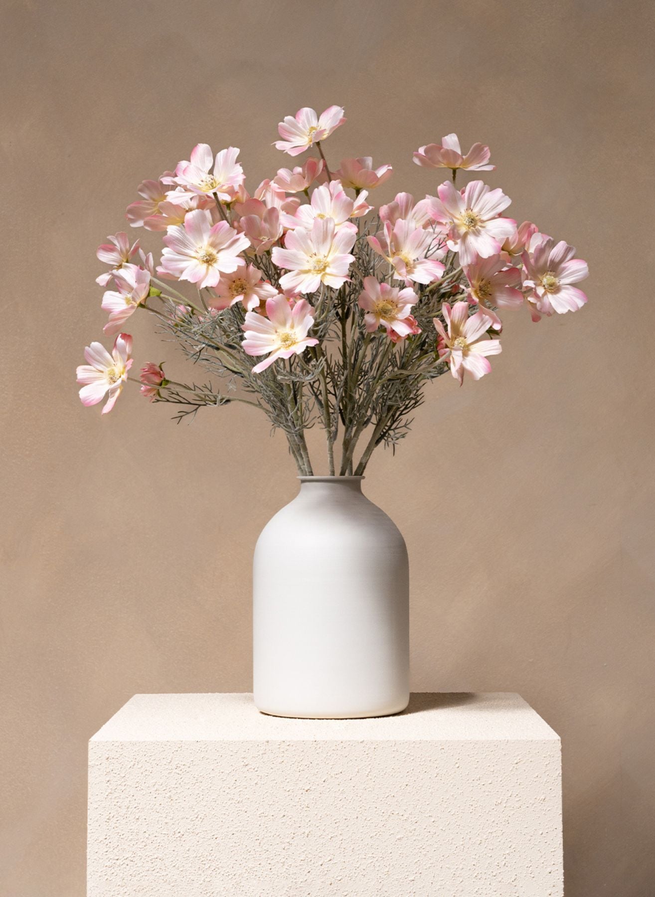 Seidenmargeriten (10 Stiele) - Hellrosa