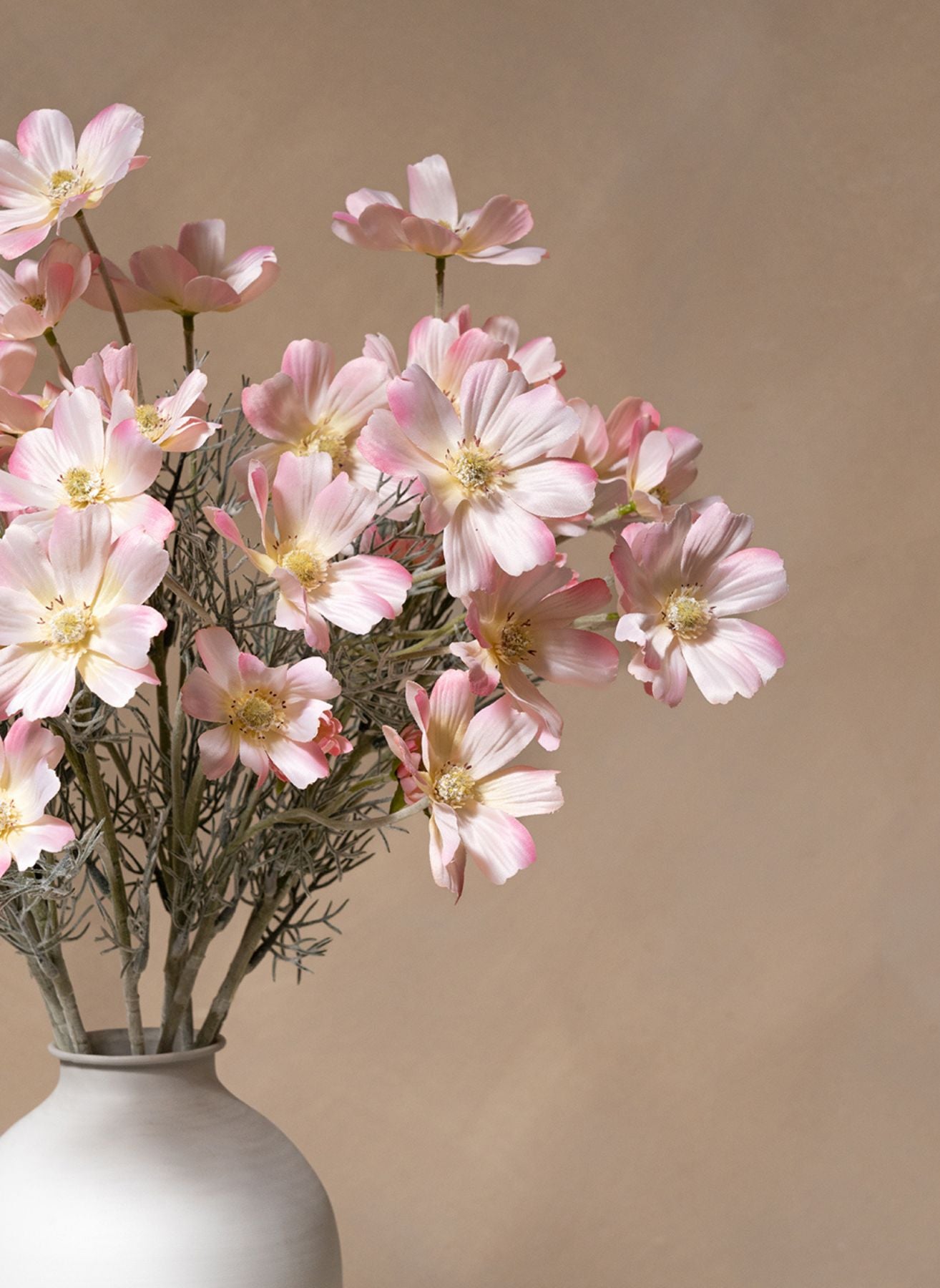 Seidenmargeriten (10 Stiele) - Hellrosa