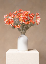 Seidenmargeriten (10 Stiele) - Altrosa