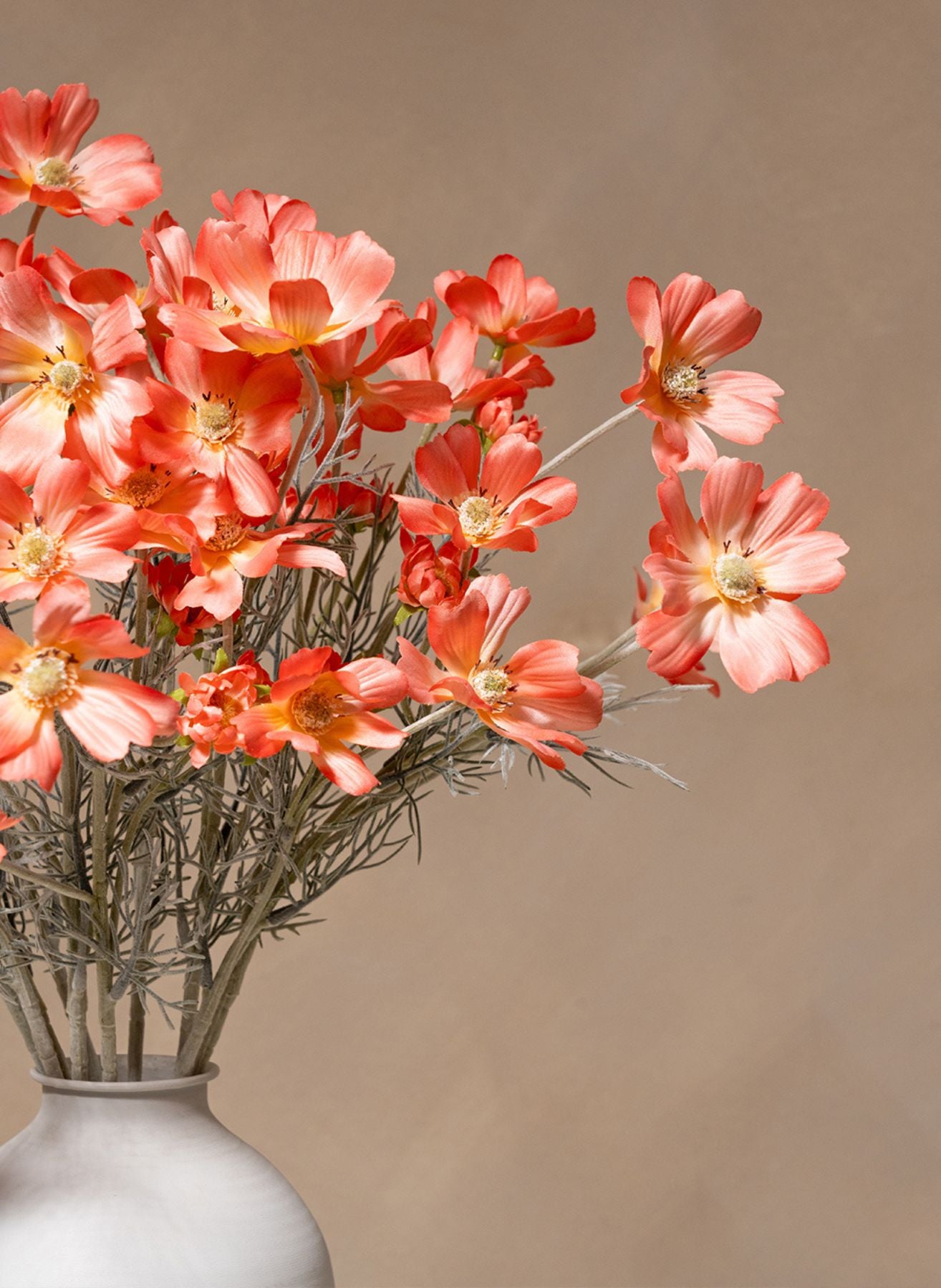 Seidenmargeriten (10 Stiele) - Altrosa