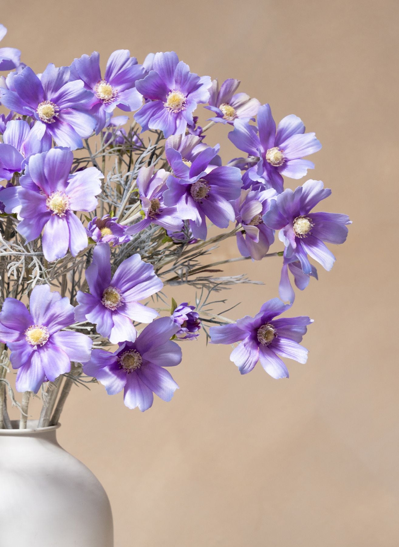 Seidenmargeriten (10 Stiele) - Lila