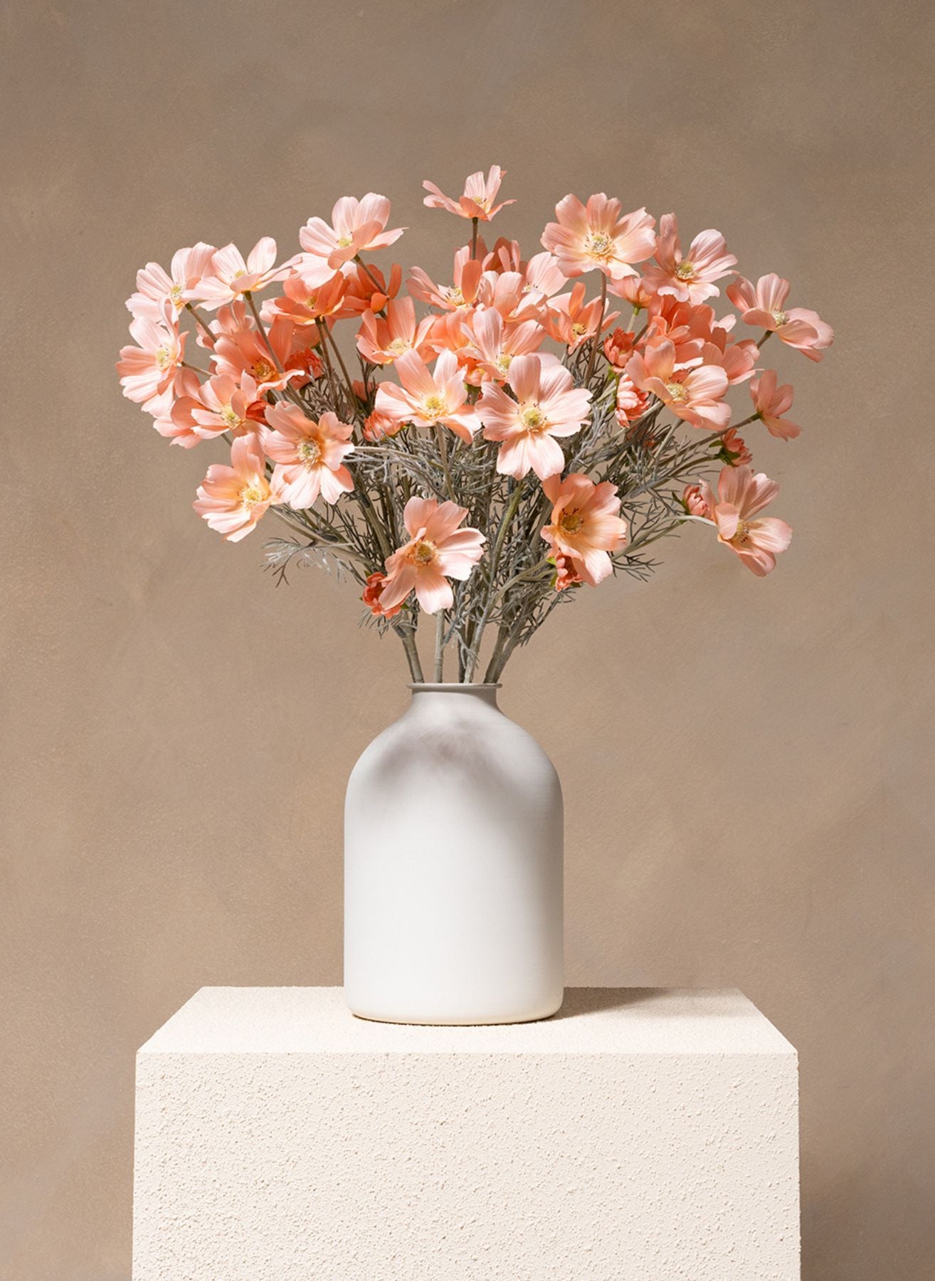 Seidenmargeriten (10 Stiele) - Pfirsich