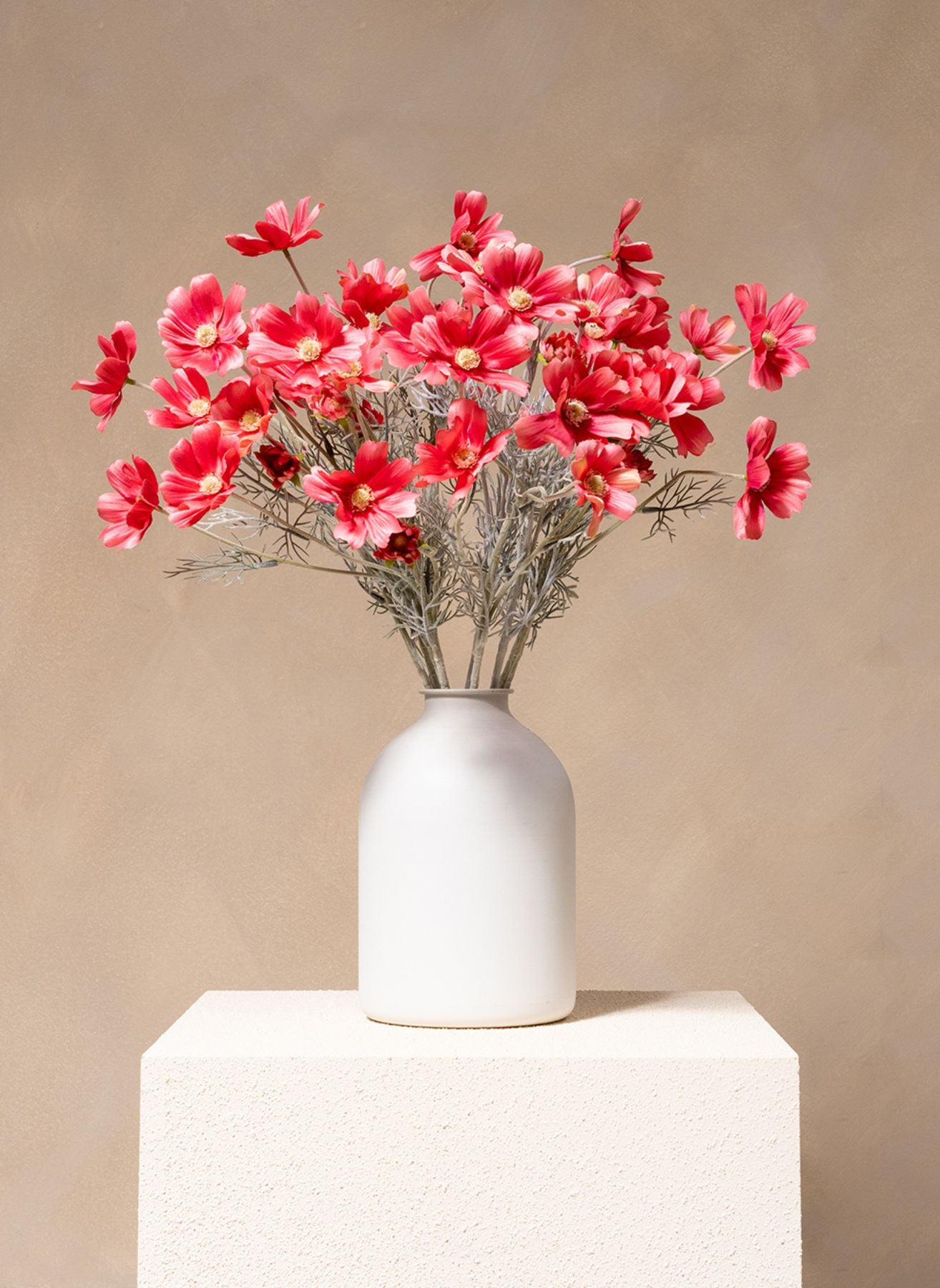 Seidenmargeriten (10 Stiele) - Fuchsia Rosa