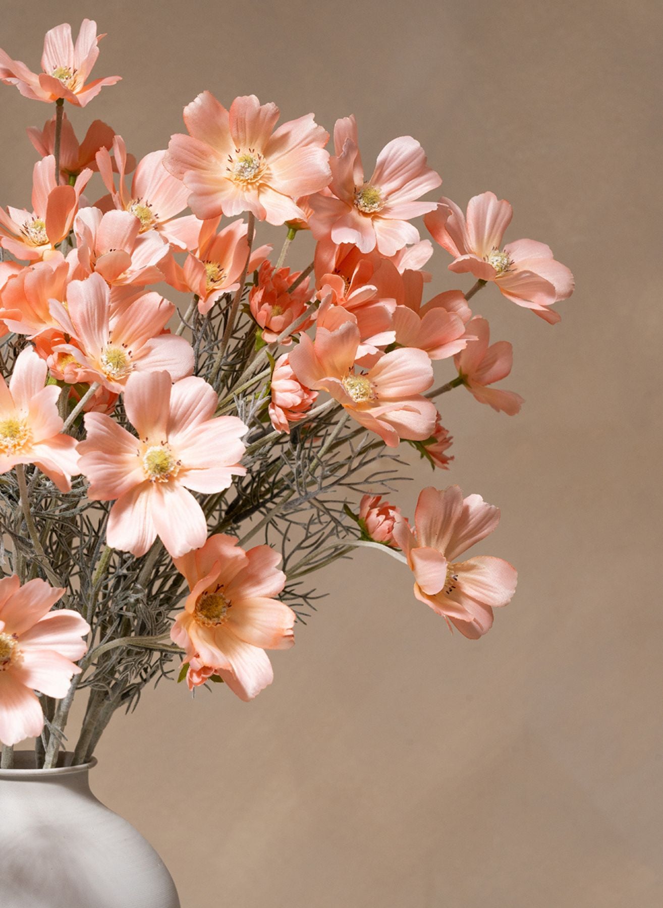 Seidenmargeriten (10 Stiele) - Pfirsich