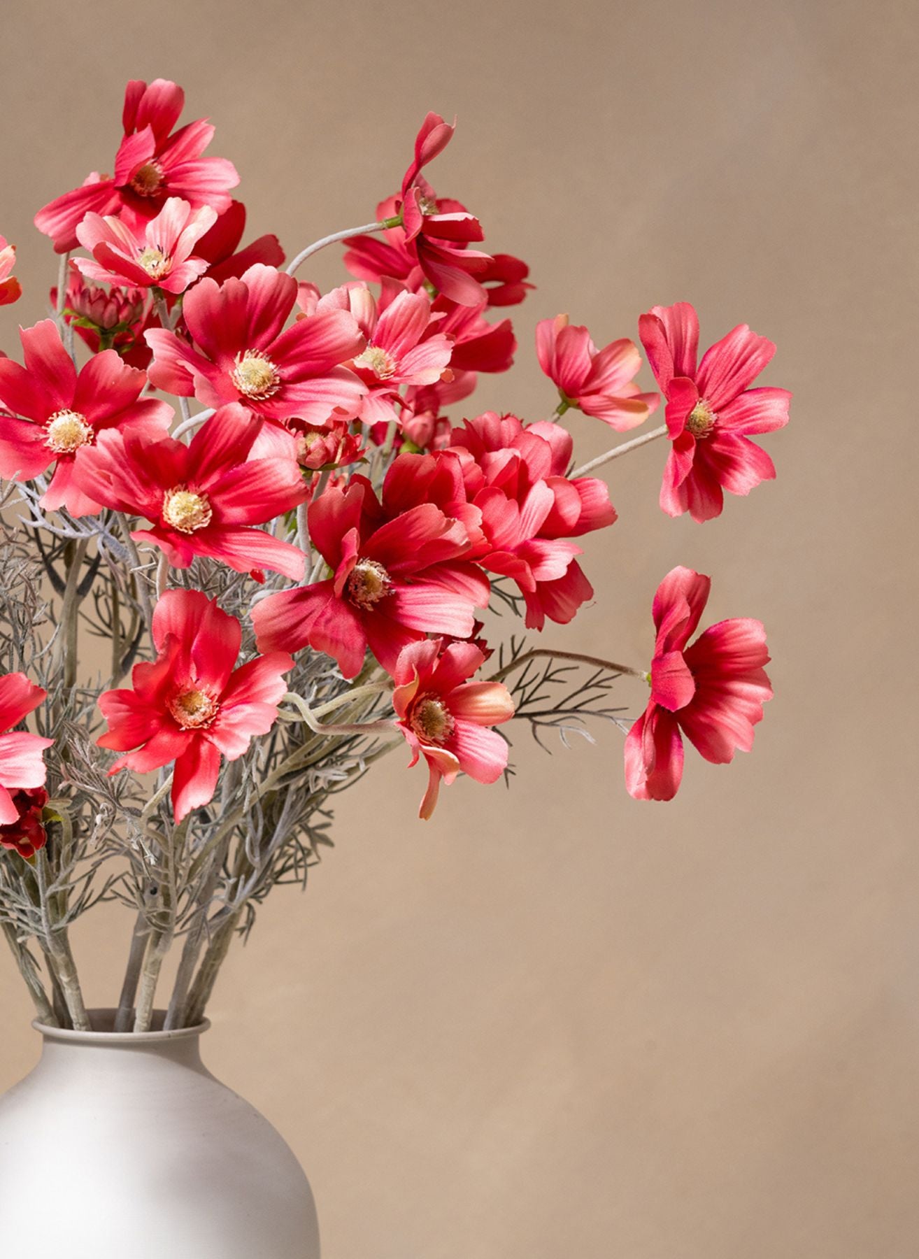 Seidenmargeriten (10 Stiele) - Fuchsia Rosa