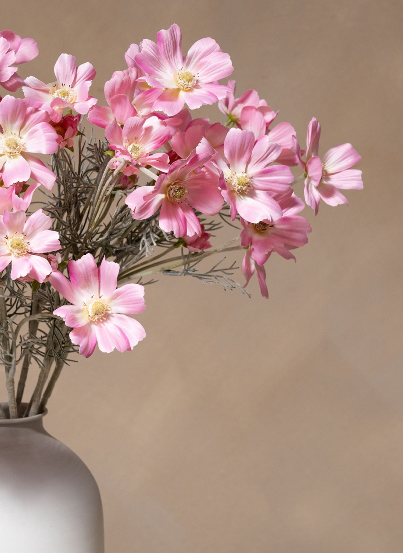 Seidenmargeriten (10 Stiele) - Rosa