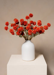 Seiden Kiku Blumen - Omber