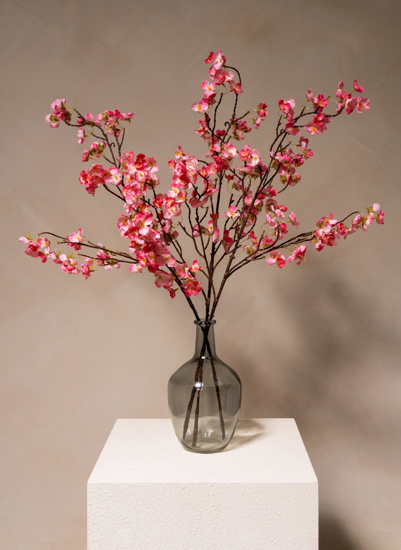 Seidenblüte - Fuchsienrosa