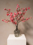 Kirschblüten - Fuchsienrosa