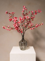 Seidenblüte - Fuchsienrosa