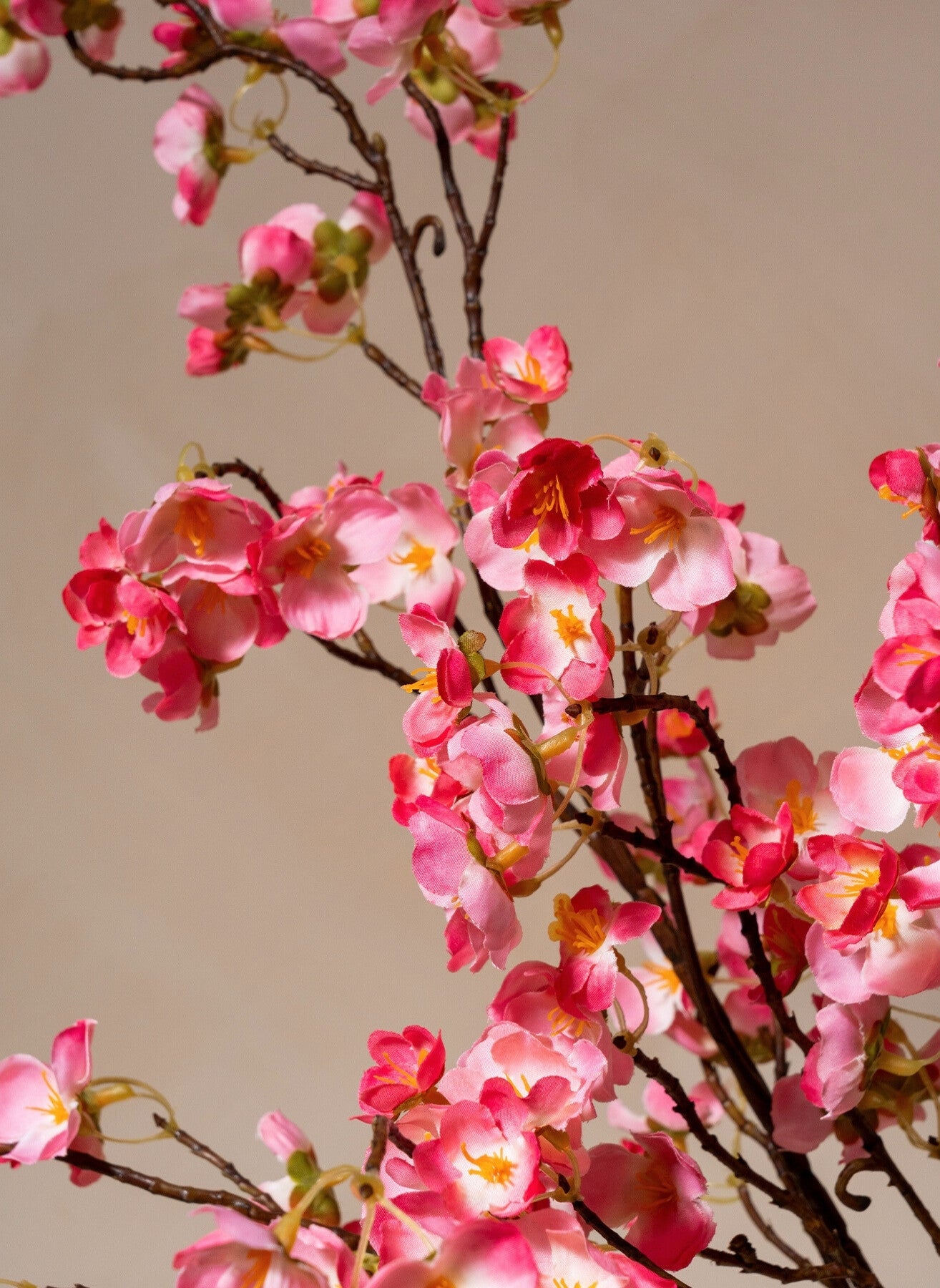 Seidenblüte - Fuchsienrosa