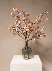 Seidenblüte - Altrosa