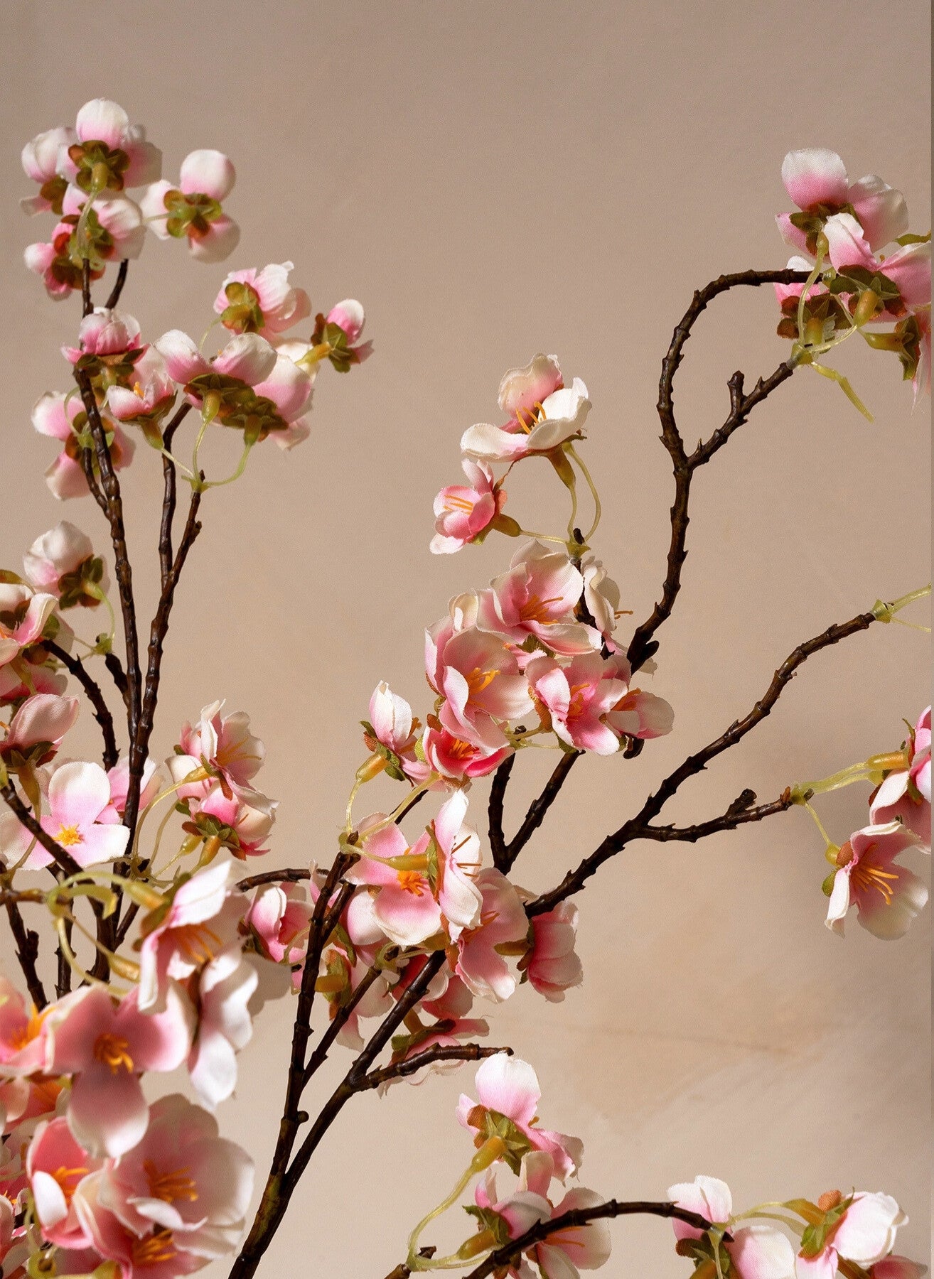 Seidenblüte - Altrosa