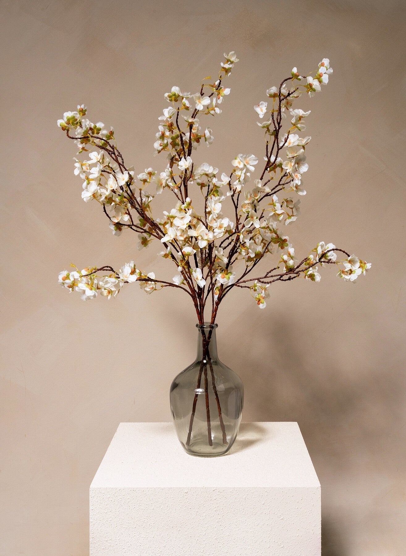 Seidenblüte - Weiß