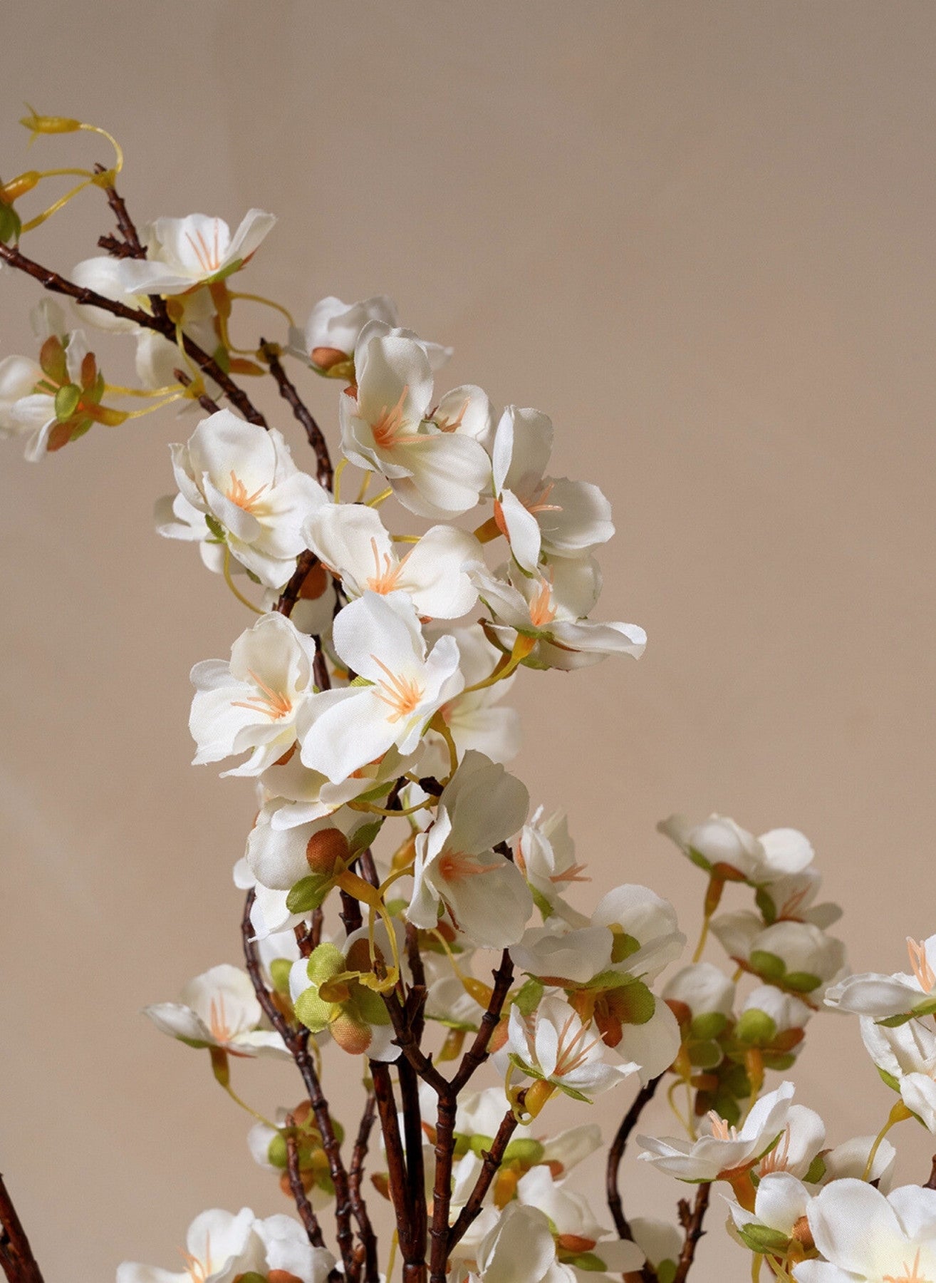 Seidenblüte - Weiß