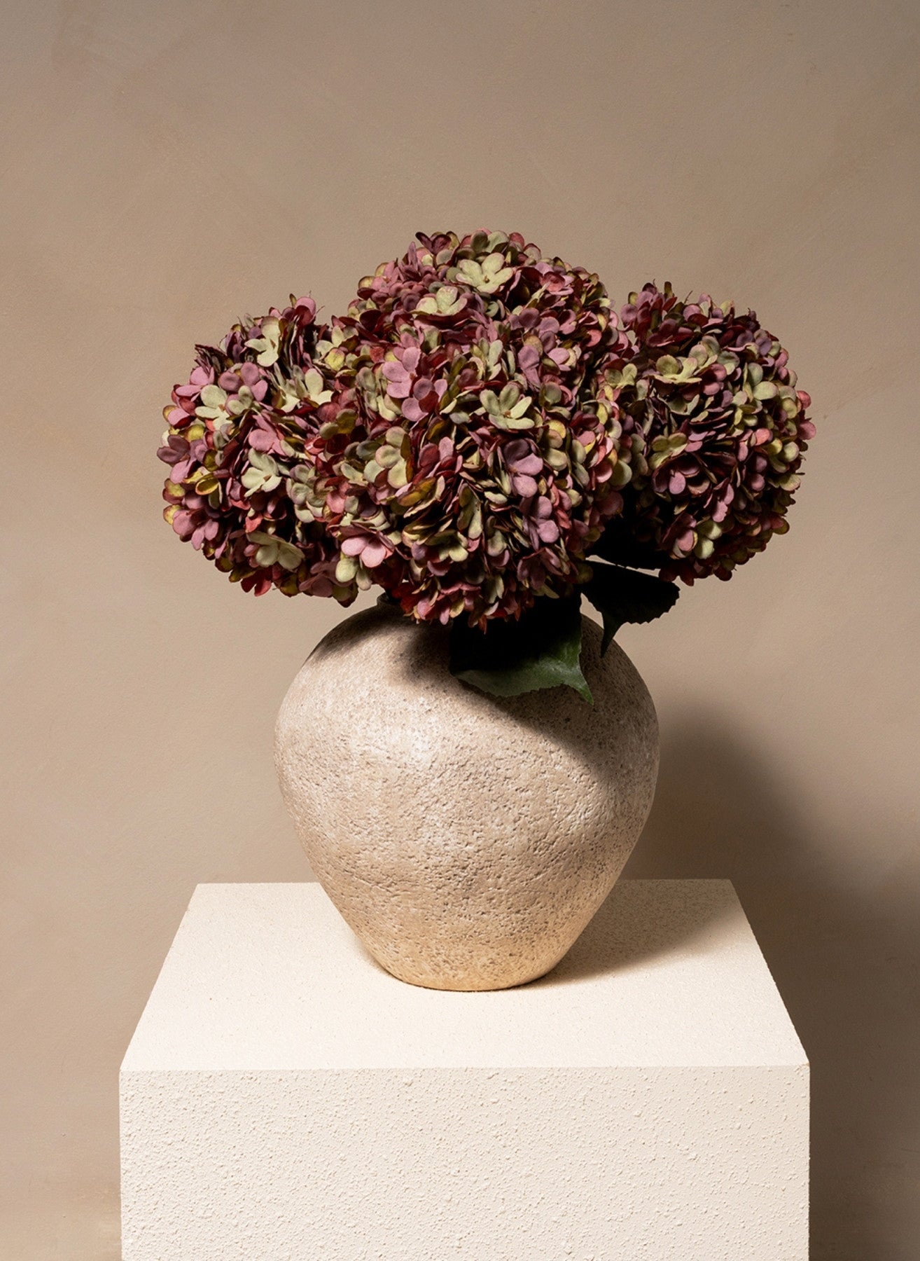 Große Seidenhortensie - Lila