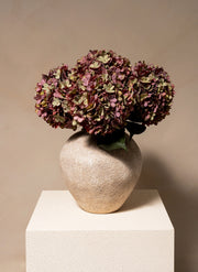 Große Seidenhortensie - Lila