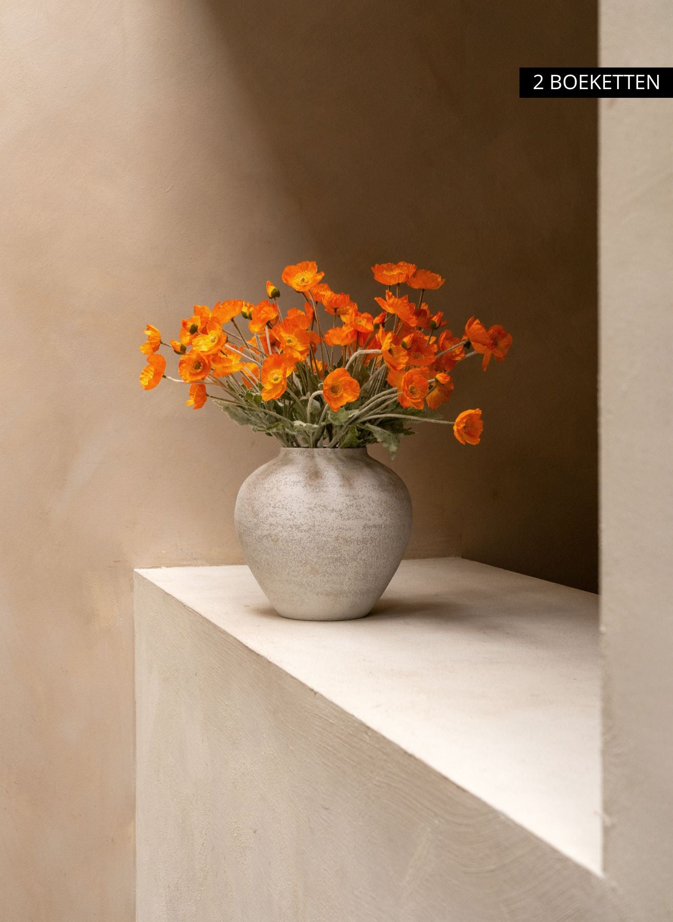 Seidenmohn - Hellorange