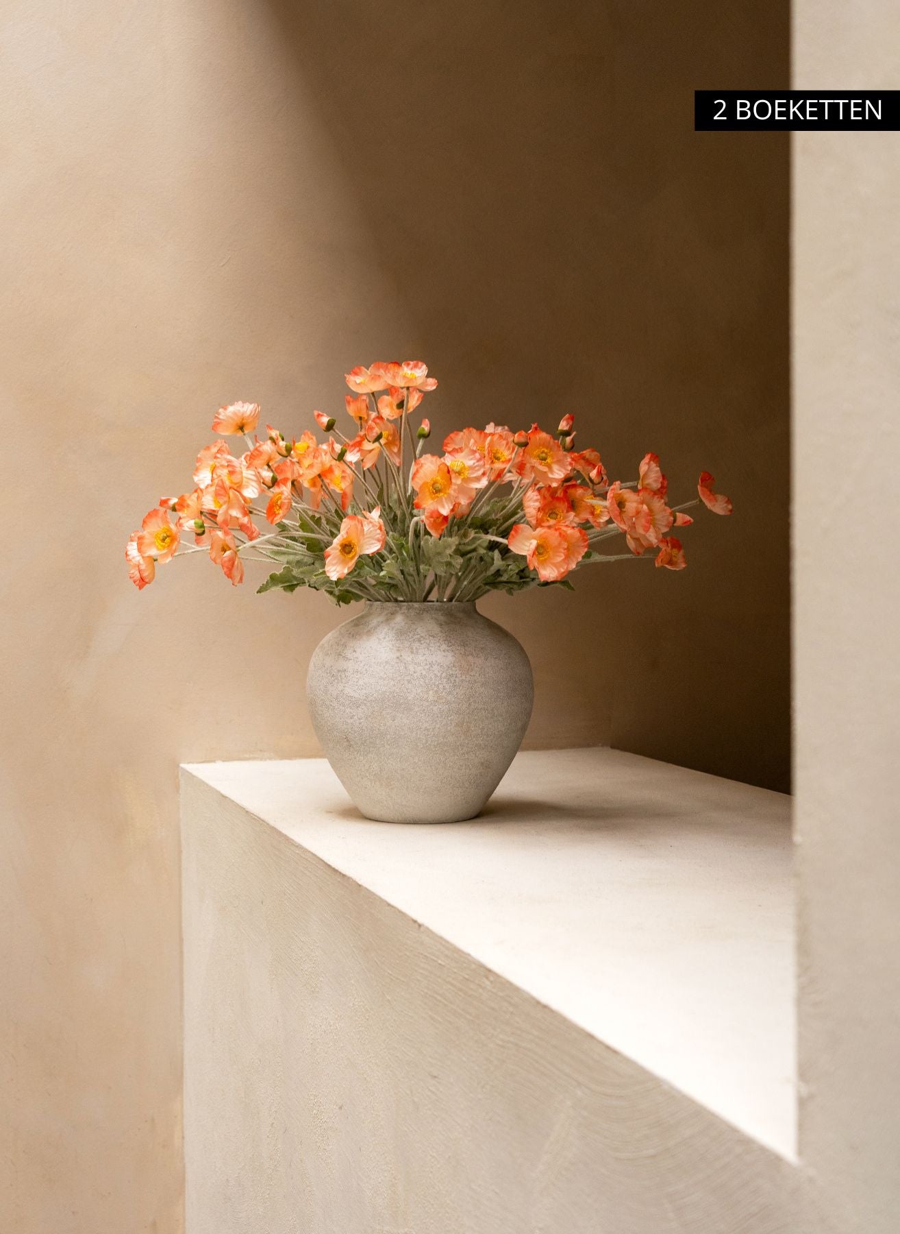 Seidenmohn - Altrosa