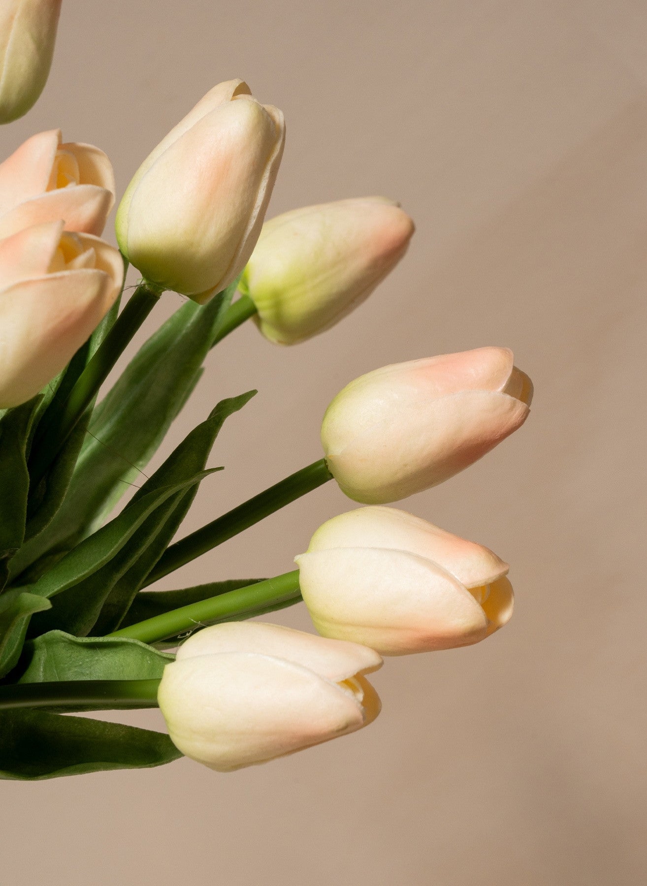 Tulpenstrauß - Altrosa